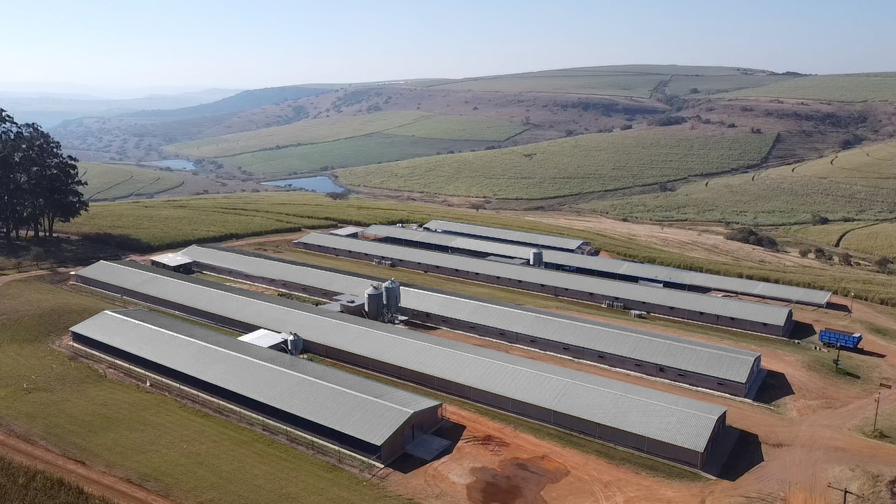 Poultry House (1,584m²)
